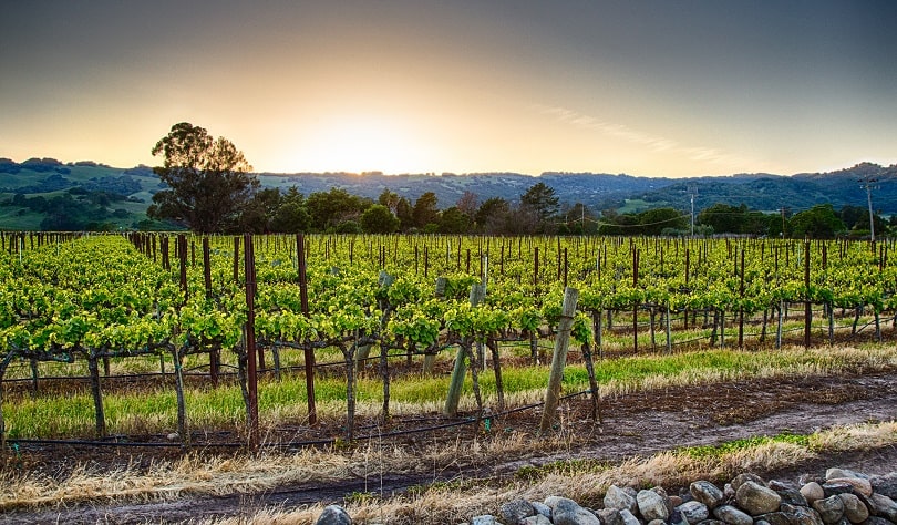 industrial software automated solutions sonoma county